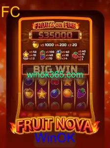Explorando o Universo de FruitNova: Regras e Estratégias